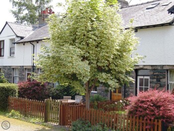 3 Catherine Cottages