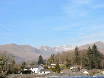 Badgers Rake 12 Squirrels Nest