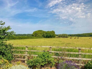 Barn Owl Cottage Annex