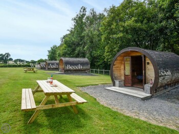 Beech - Glamping Pod