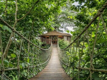 Bensfield Treehouse
