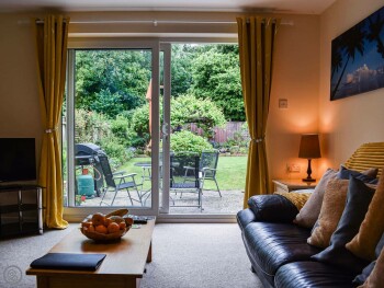 Between The Forest And The Sea