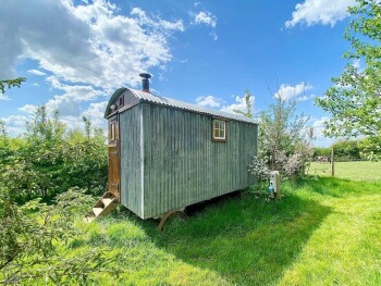 Birch Shepherds Hut