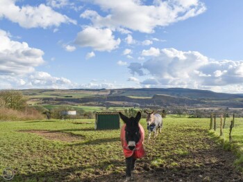 Bondcroft Farm Cottage