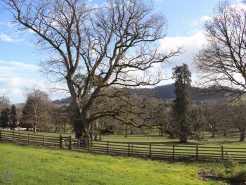 Brynderwen Hall Annexe