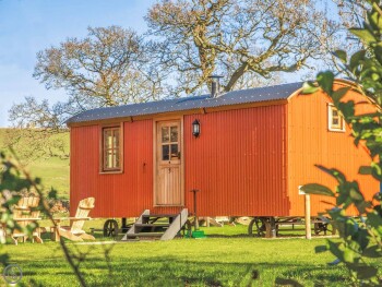 Champagne Shepherds Hut