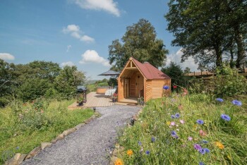 Dol Y Mynydd (The Mountain Meadow)