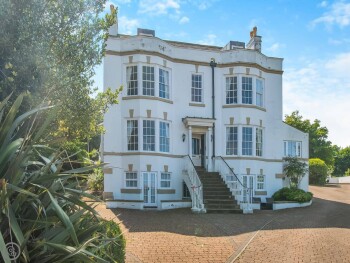 Driftwood At Whitehall