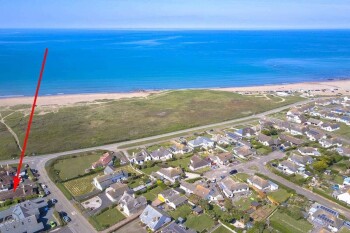 Driftwood At Widemouth Bay