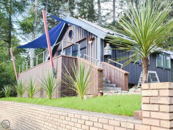 Dundonald Landing - Palm 1