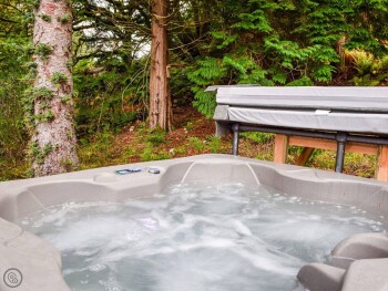 Dundonald Landing - Palm 2