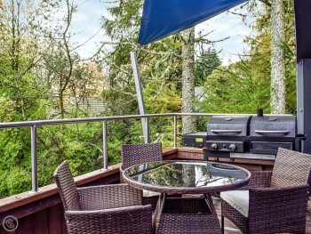 Dundonald Landing - Palm 3