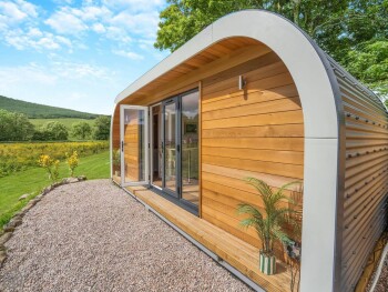 Freedom Fields - Bluebell