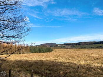 Gallowhill Quarryside