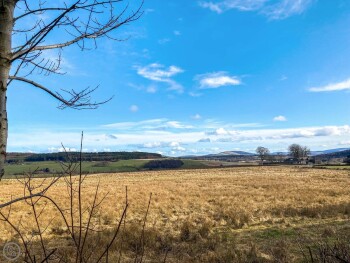 Gallowhill Quarryside