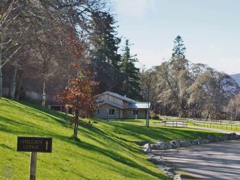Ghillies Lodge