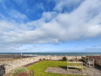 Marram At The Viking