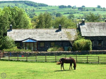Mews Cottage