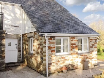 Pheasants Wander Summercourt