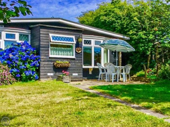 Robin's Nest Bungalow