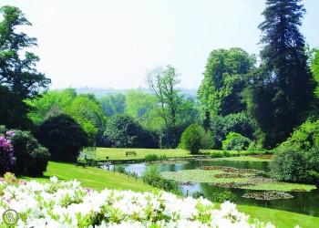 Rosecraddoc Manor - Heron