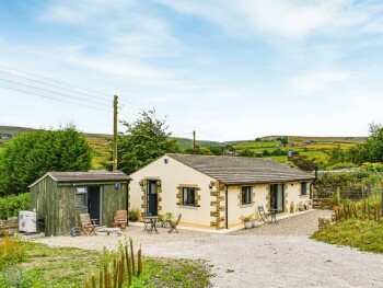 Scar Top Mistal At Scar Top Farm