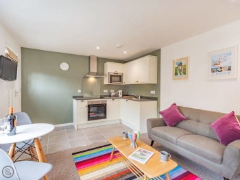 Silver Birch At Pallinsburn