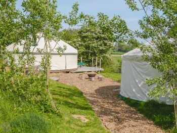 Skylark Yurt