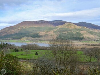 Squirrel’s Retreat