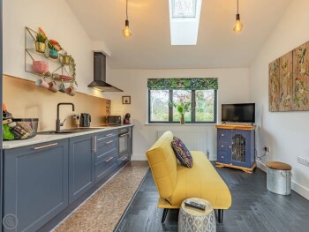 Star's Special Sanctuary