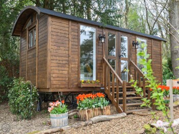 Sybs Farm Shepherds Hut