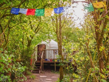 The Brentwood Yurt
