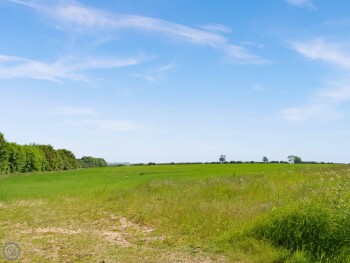 The Bungalow Cottage