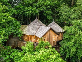 The Buzzardry At Marklye