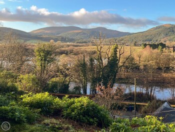 The Holly Tree Cottage