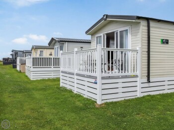 The Laughing Seagull