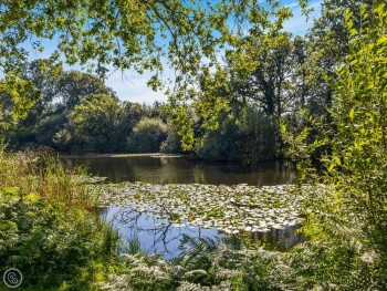 The Lodge At The Lake House