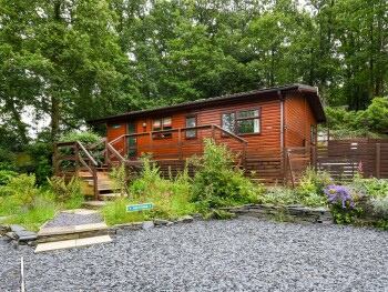 The Squirrels Drey C32