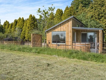 The Tranquil Orchard - Nuthatch