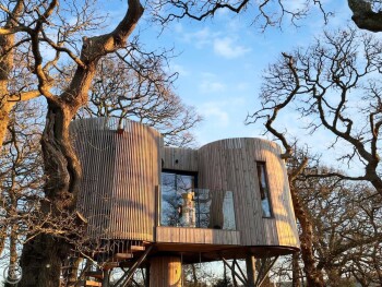 The Treehouse @ Caerlaverock