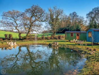 Truffle Shepherds Hut