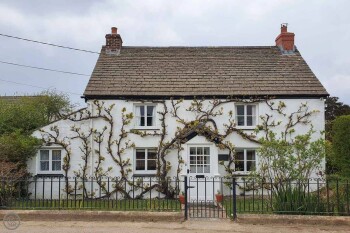 Vine Cottage